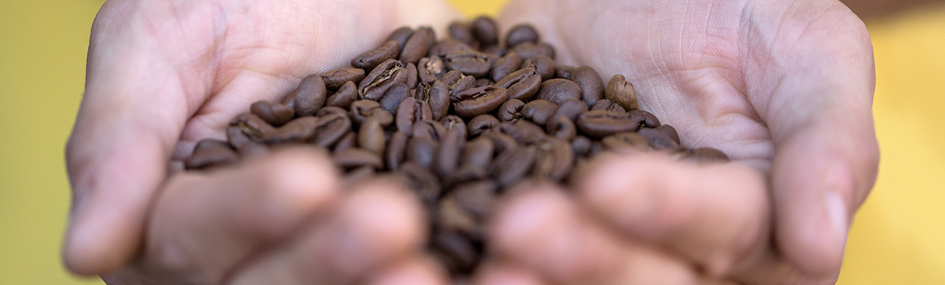   DELTA Q   Za każdym momentem Delta Q kryje się długa historia... 